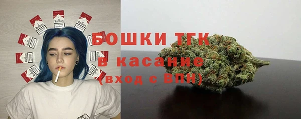 соль ск Михайлов