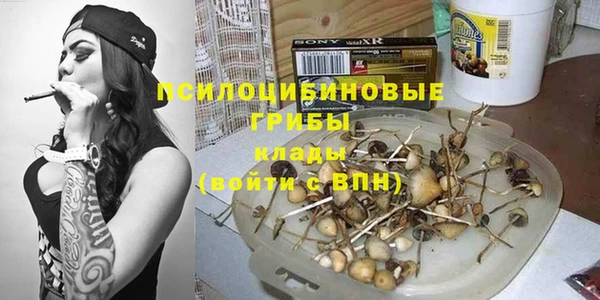 эйфоретик Надым