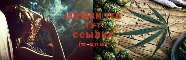 эйфоретик Надым